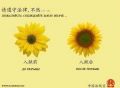 Китайский агитационный плакат нам как бы намекает