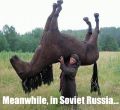 Meanwhile in Soviet Russia: a horse rides YOU!
