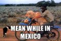 Meanwhile in Mexico